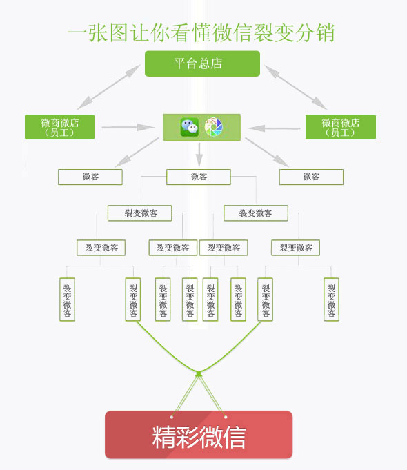 微信定制开发